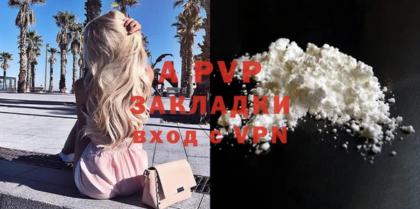 spice Пестово