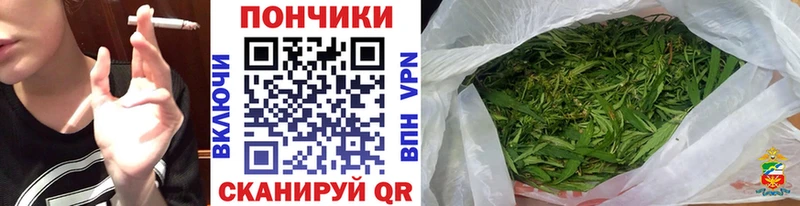 купить наркоту  Звенигород  Шишки марихуана конопля 
